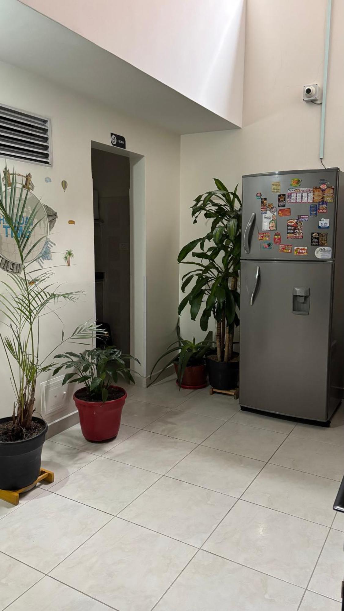 Hotel Casa Luna — Photos 3